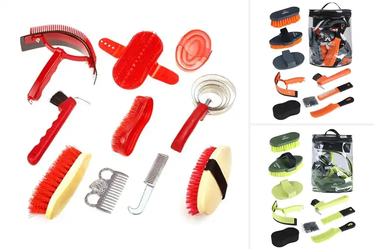 Detailed view of Best Equine Grooming Tools Sets