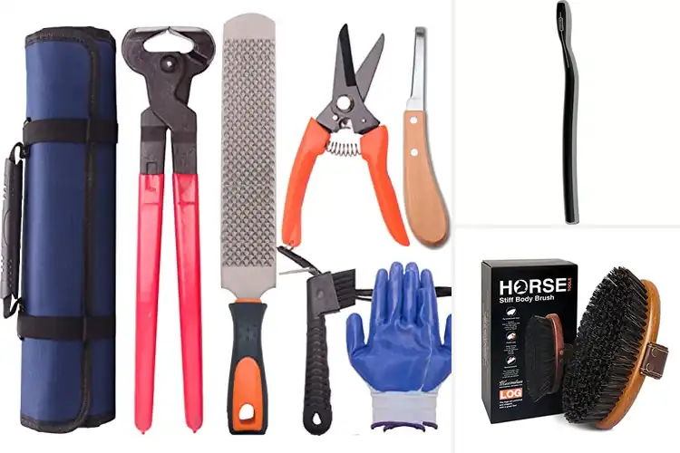 Detailed view of Best Equine Tools