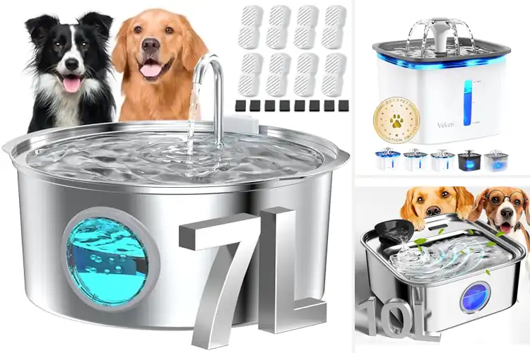 Detailed view of Best Filtered Water Bowls For Dogs