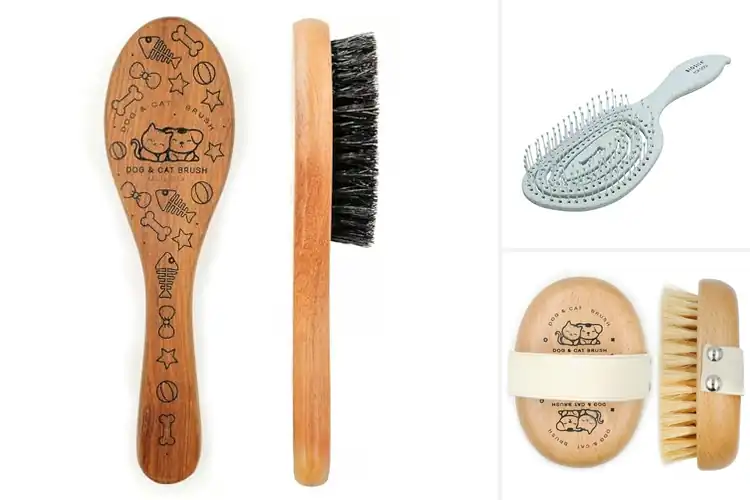 Detailed view of Best Gentle Grooming Bristles