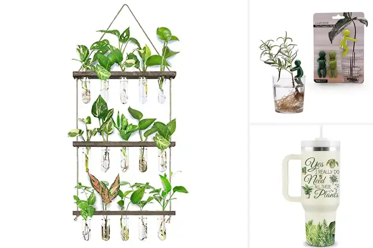 Detailed view of Best Gift For Plant Lovers
