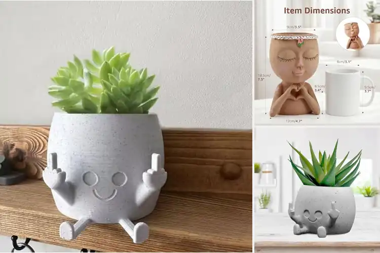 Detailed view of Best Gift Planters: 10 Unique Picks to Spark Joy