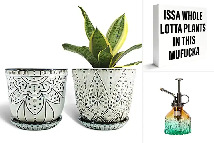 Detailed view of Best Gifts for Plant Lovers