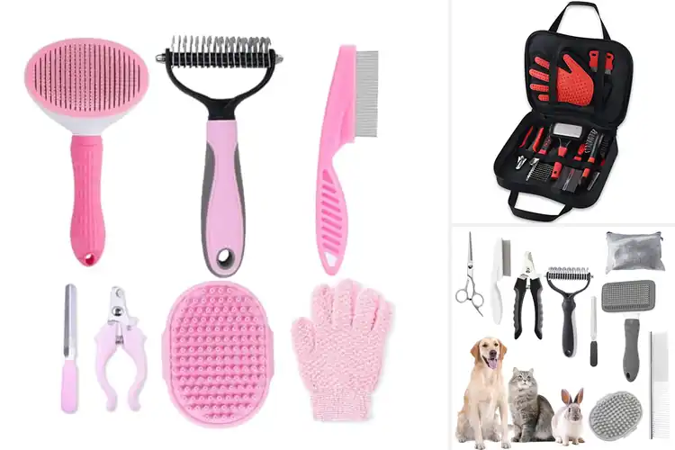 Detailed view of Best Grooming Brushes Sets