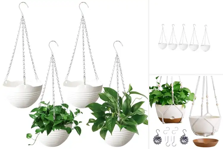 Detailed view of Best Hanging Planter Sets