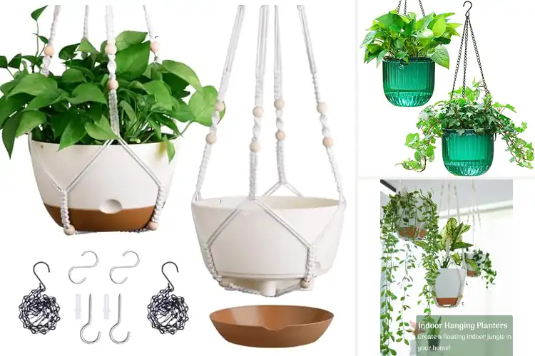 Detailed view of Best Hanging Planters