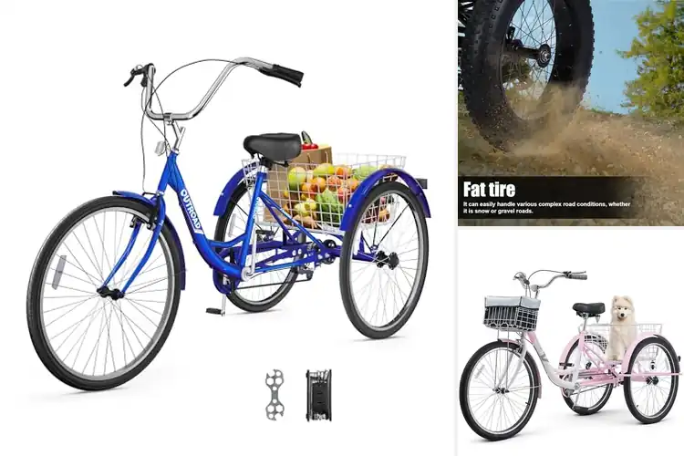 Detailed view of Best Heavy Duty Tricycles 300 Lbs