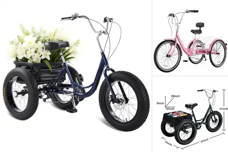 Detailed view of Best Heavy Duty Tricycles