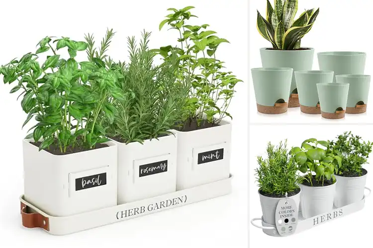 Detailed view of Best Herb Planters: Grow Fresh Herbs Easily