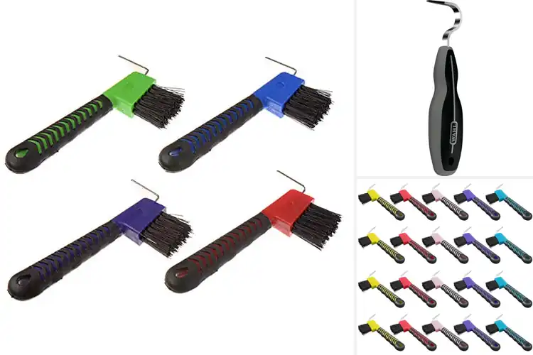 Detailed view of Best Hoof Picks: Top 10 Tools for Healthy Hooves
