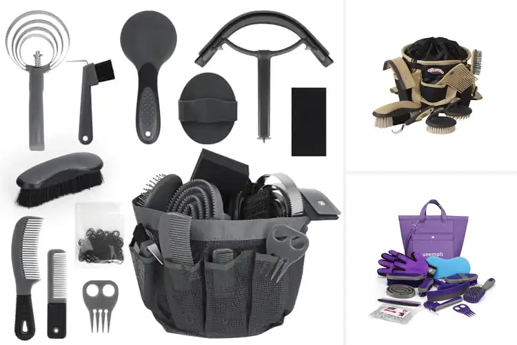 Detailed view of Best Horse Care Kits