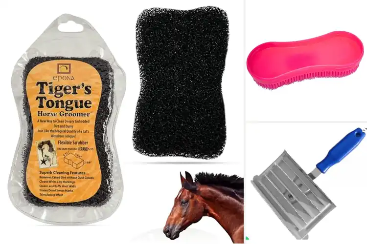 Detailed view of Best Horse Coat Cleaning Brushes