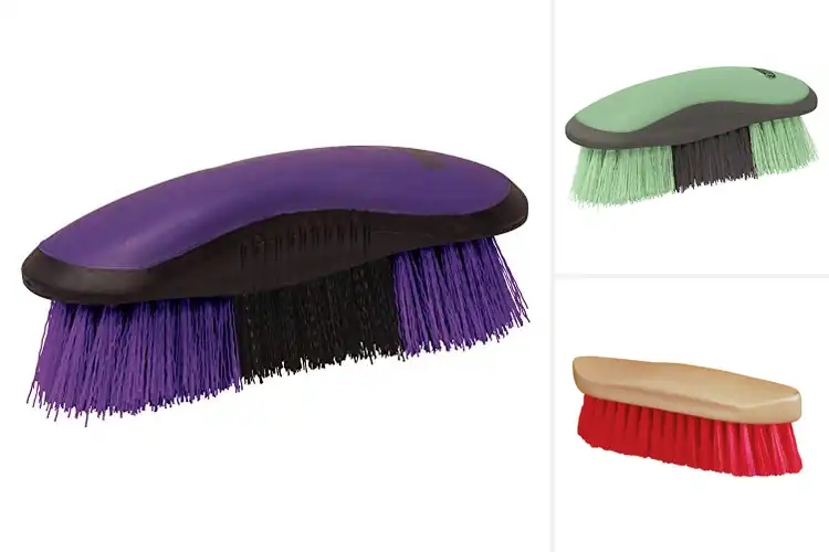 Detailed view of Best Horse Dandy Brushes