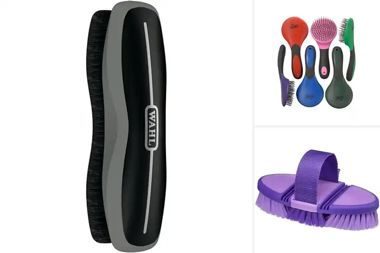 Detailed view of Best Horse Grooming Brushes: Top 10 Picks for a Shiny Coat