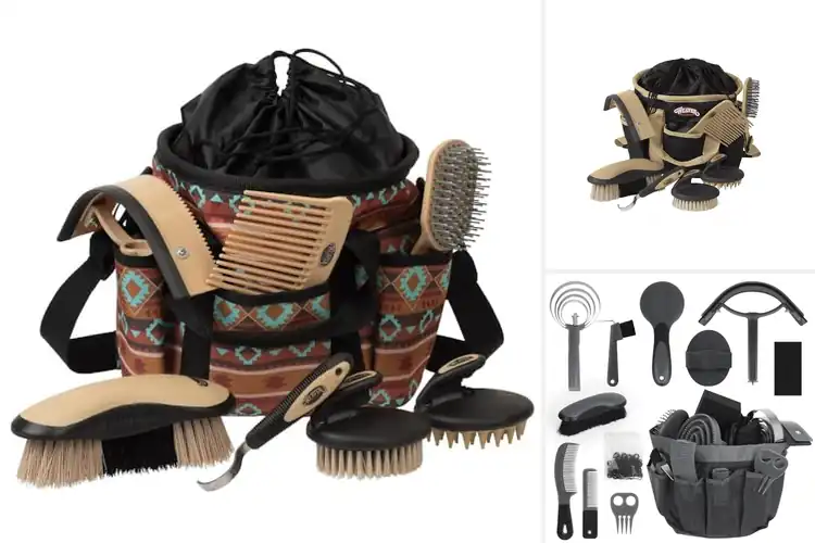 Detailed view of Best Horse Grooming Kits: Essential Tools for Healthy Horses