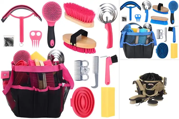Detailed view of Best Horse Grooming Sets For Beginners