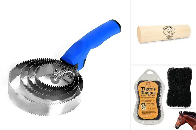 Detailed view of Best Horse Grooming Tools