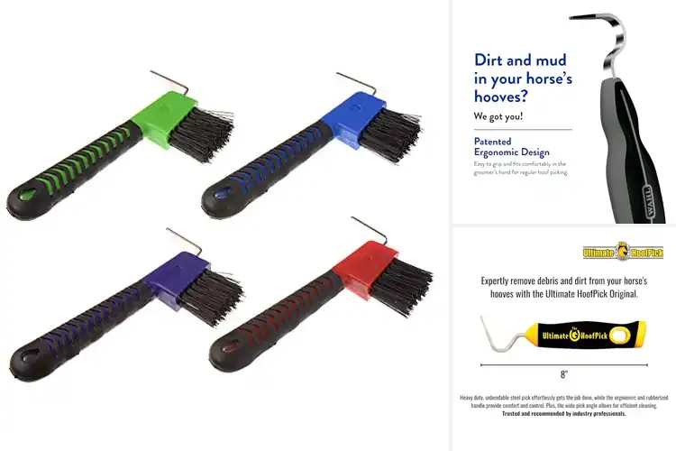 Detailed view of Best Horse Hoof Picks