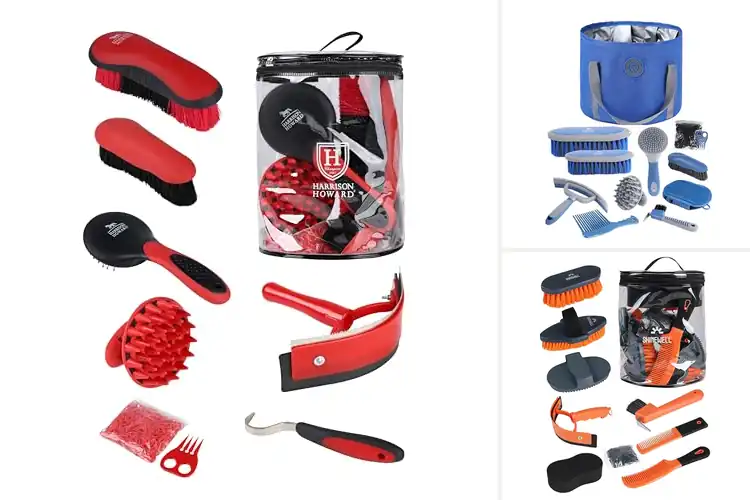 Detailed view of Best Horse Shedding Brushes Sets