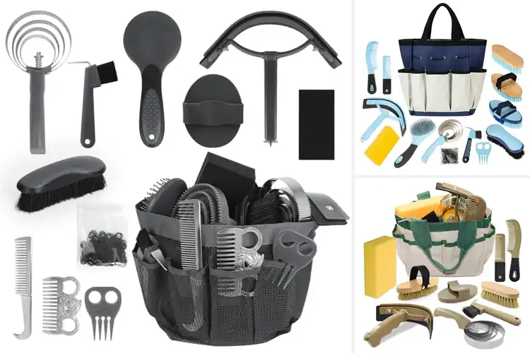 Detailed view of Best Introductory Horse Care Kits: Start Your Journey Right