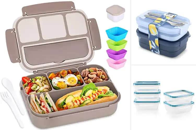 Detailed view of Best Leakproof Lunch Containers