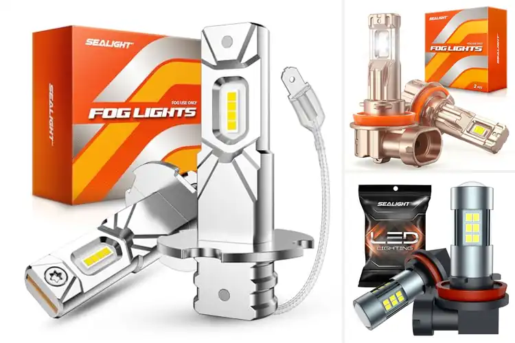 Detailed view of Best Long Lasting Fog Lights