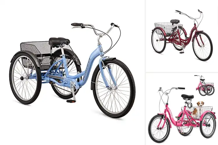 Detailed view of Best Low-Maintenance Single-Speed Tricycles