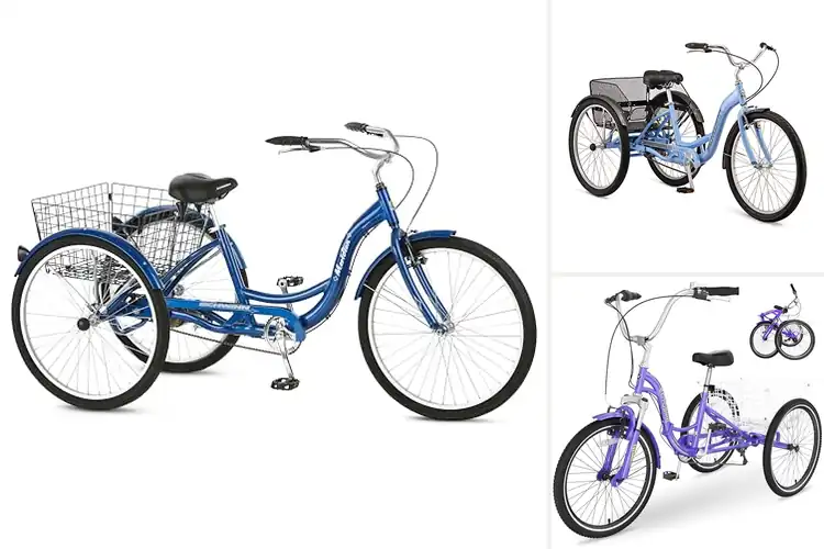 Detailed view of Best Low-Maintenance Trikes