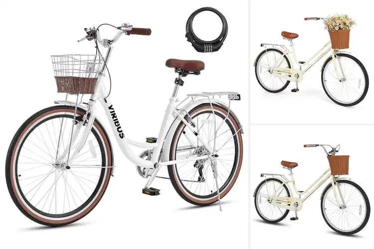 Detailed view of Best Low Step-Through Frame Bikes