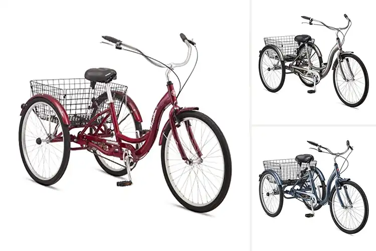 Detailed view of Best Low Step Through Frame: Smooth Rides for All Levels