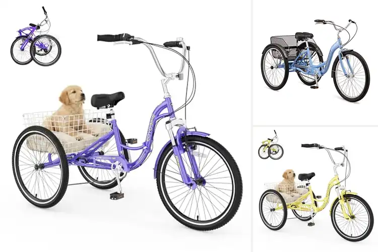 Detailed view of Best Low Step-Through Tricycles