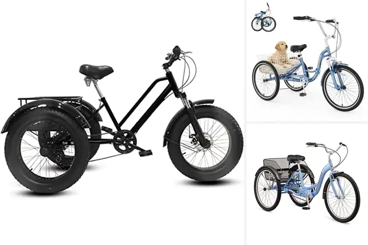 Detailed view of Best Low Step-Through Trikes