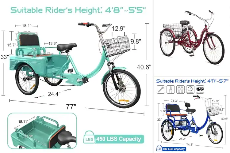 Detailed view of Best Low Step Tricycles for Easy, Comfortable Riding