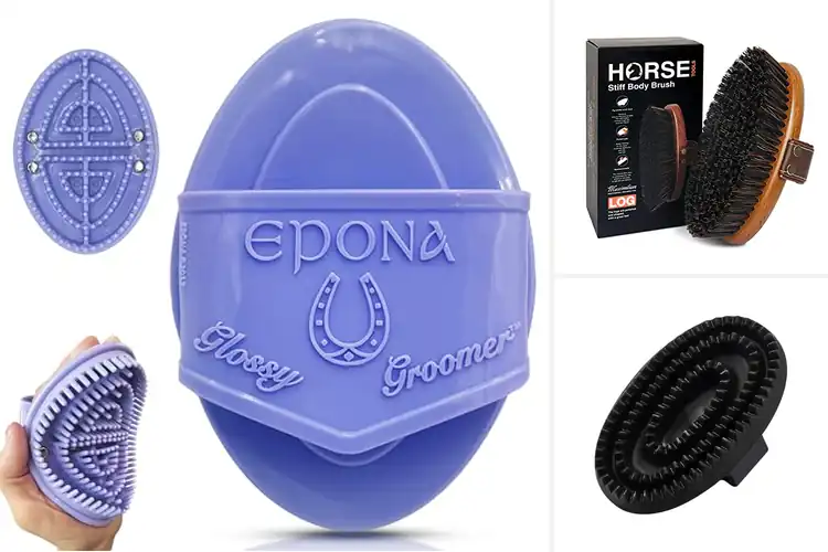 Detailed view of Best Massaging Brushes For Horses