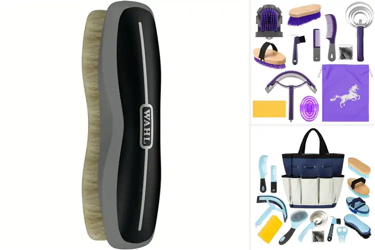 Detailed view of Best Massaging Horse Brushes