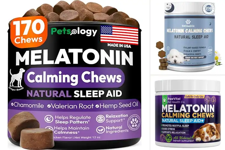 Detailed view of Best Melatonin Calming Chews For Dogs