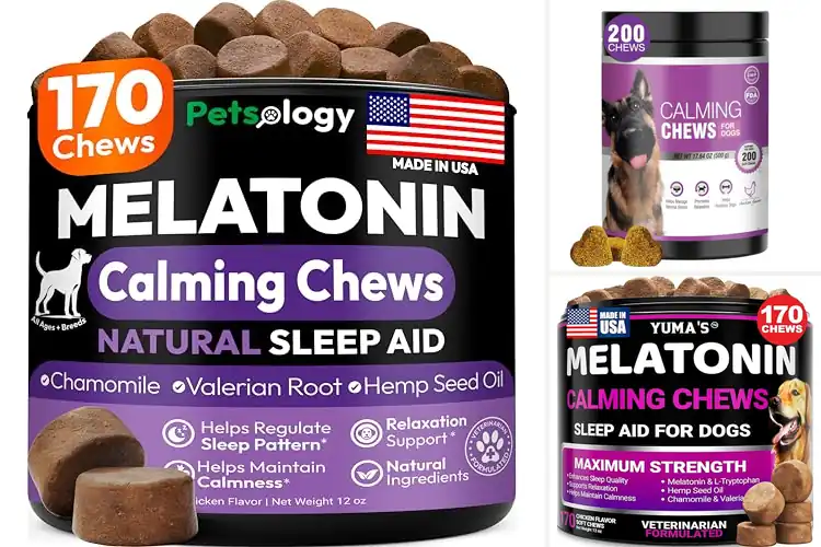 Detailed view of Best Melatonin Calming Treats For Dogs