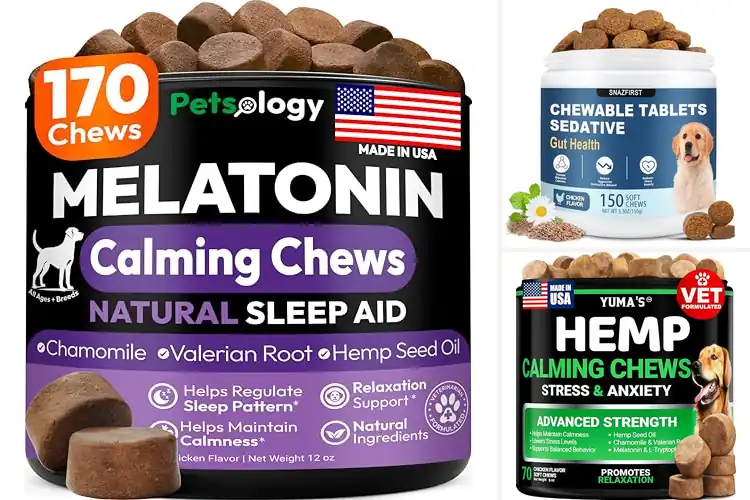 Detailed view of Best Melatonin Dog Calming Treats