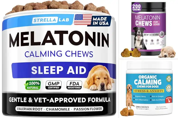 Detailed view of Best Melatonin Dog Treats For Relaxation