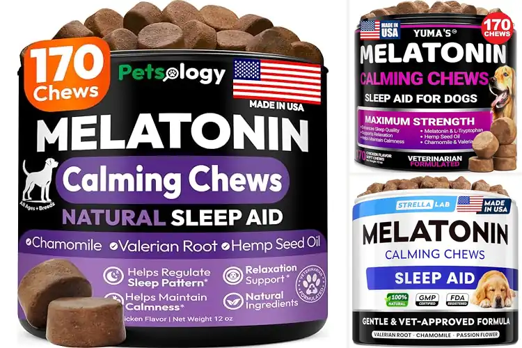 Detailed view of Best Melatonin Dog Treats