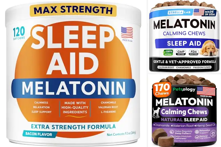 Detailed view of Best Melatonin For Dogs Sleep Aid