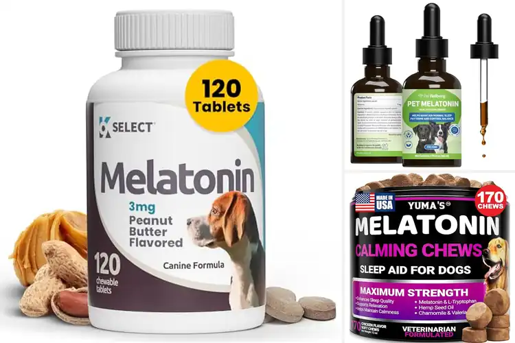 Detailed view of Best Melatonin For Sleep Support In Dogs