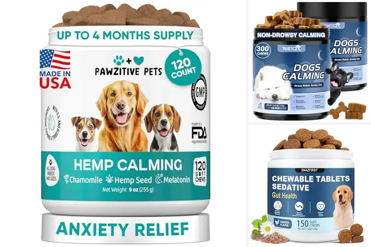 Detailed view of Best melatonin-infused calming treats for dogs