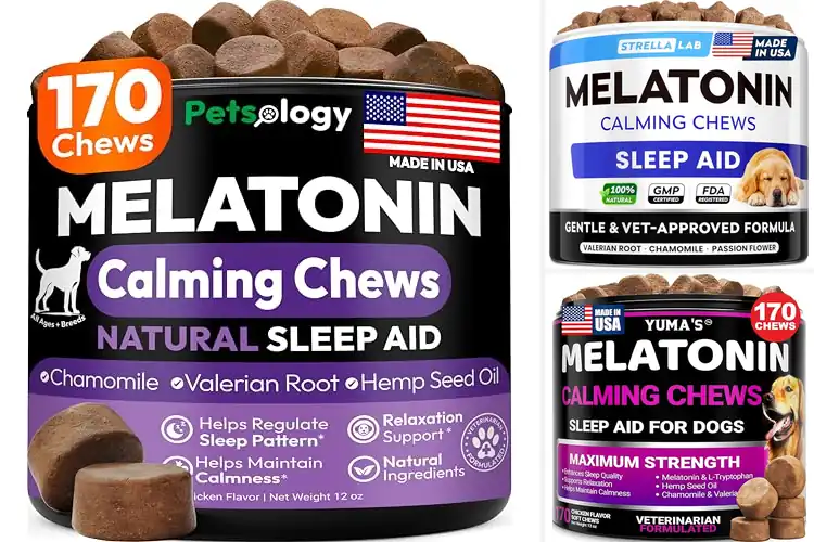 Detailed view of Best Melatonin Treats For Dogs