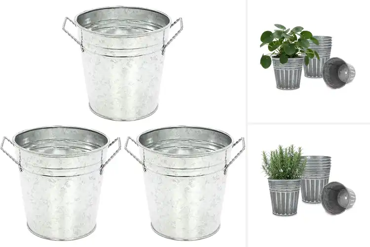 Detailed view of Best Metal Flower Pots: Top 10 Durable & Stylish Picks