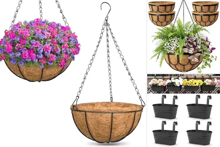 Detailed view of Best Metal Hanging Planters for Effortless Home Style