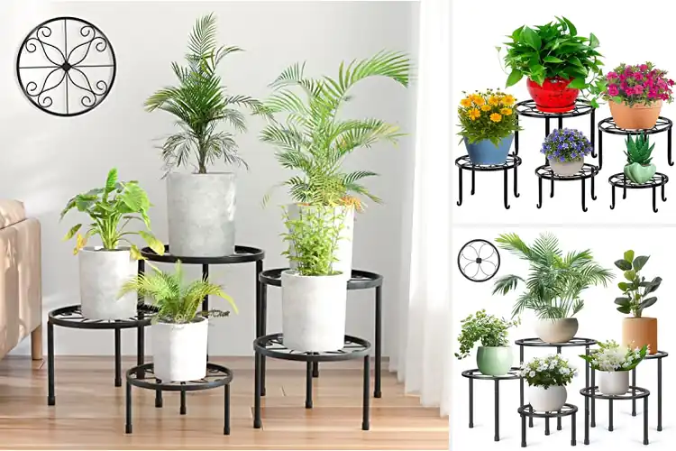 Detailed view of Best Metal Plant Holders