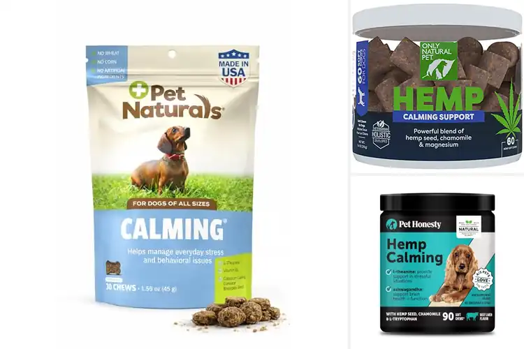 Detailed view of Best Natural Calming Ingredients For Dogs