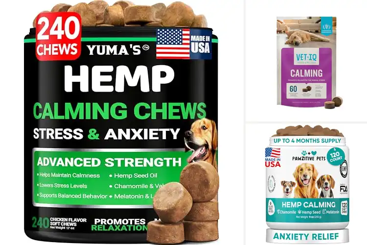 Detailed view of Best natural calming treats for dogs