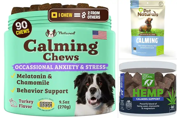Detailed view of Best Natural Calming Treats: Soothe Your Pet Naturally